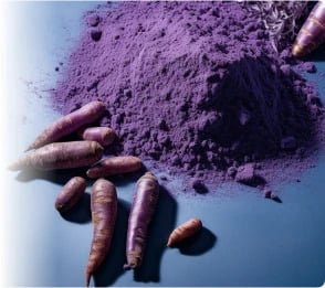 ProvaDent Ingredients