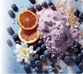 ProvaDent Ingredients