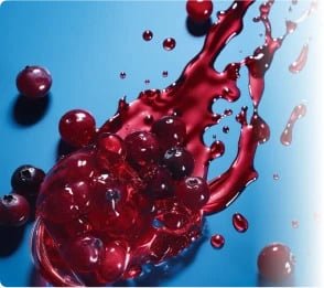 ProvaDent Ingredients